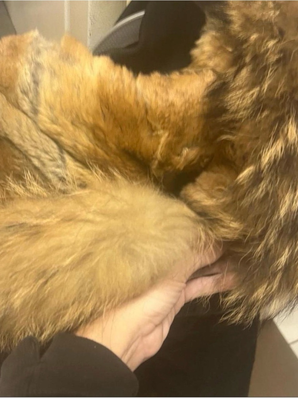 Mackage Black Puffer Coat with Tan Faux Fur Hood Trim - Picture 5 of 6